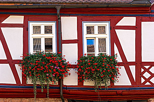 天竺葵,窗户,老,半木结构房屋,老城,黑森州,德国,欧洲