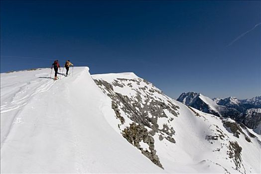 高山牧场,国家公园,施蒂里亚,上奥地利州,欧洲