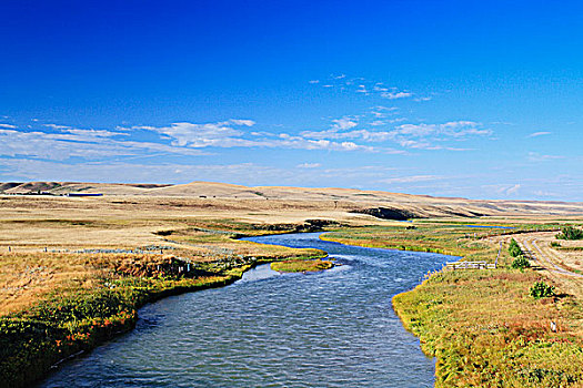 牛奶河,南方,艾伯塔省,加拿大,草原