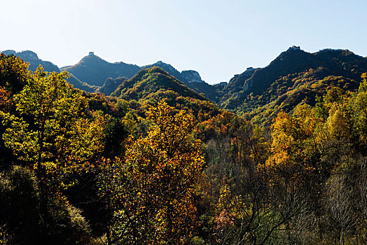 中国,金山岭,长城