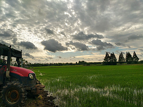 乡村美景,乡野村庄