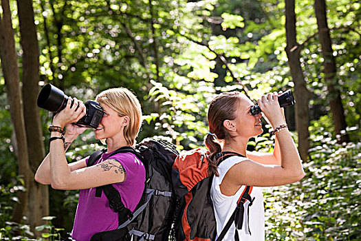 两个女人,远足,树林,看,双筒望远镜