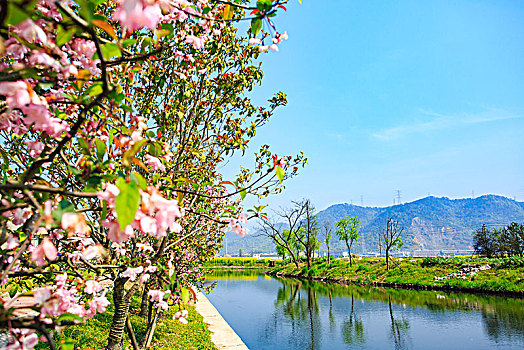 甲村,三胜河,水环境治理,村庄,公园