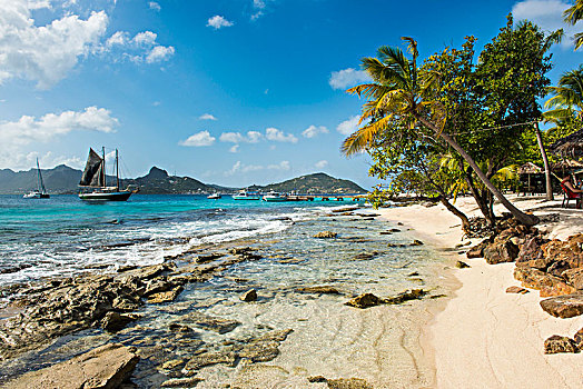 岩石,沙滩,棕榈岛,格林纳丁斯群岛,加勒比