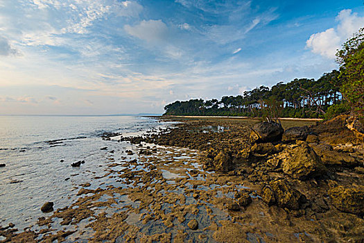 岛屿,风景,安达曼,岩石海岸