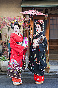 日本,京都,袛园,鸾舞伎,艺伎,衣服,和服