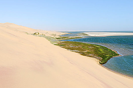 沙丘,湿地,三明治,港口,纳米比诺克陆夫国家公园,纳米布沙漠,纳米比亚,非洲