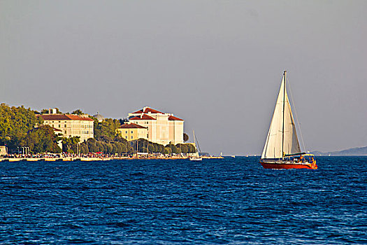 帆船,水岸,达尔马提亚