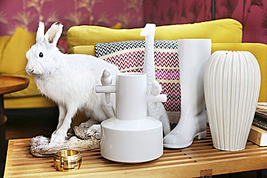 多样,白色,花瓶,野兔,装饰,边桌