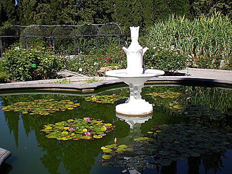 喷泉,植物园,克里米亚