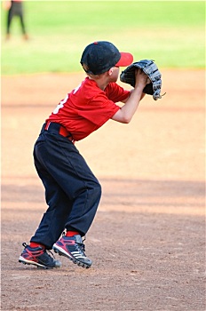 少年棒球联赛,棒球手