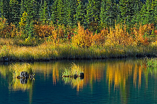 加拿大,艾伯塔省,班芙国家公园,秋天,反射,弗米利恩湖,画廊