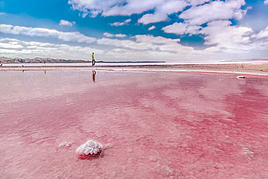 西澳大利亚印度洋独特的天然奇景粉红湖盐藻类泻湖pinklagoon,westernaustralia