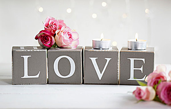 粉色,玫瑰,茶烛,纸板,文字,拼写,爱情