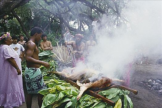 夏威夷,传统,准备,猪,夏威夷宴会