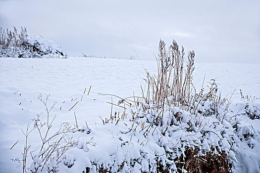 云南东川红土地雪原