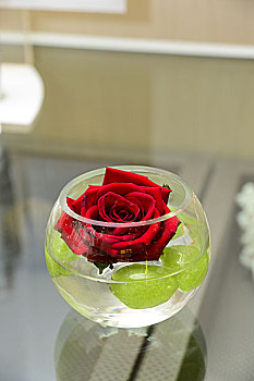 广州粤海喜来登酒店,装着玫瑰花的小玻璃缸,广东广州