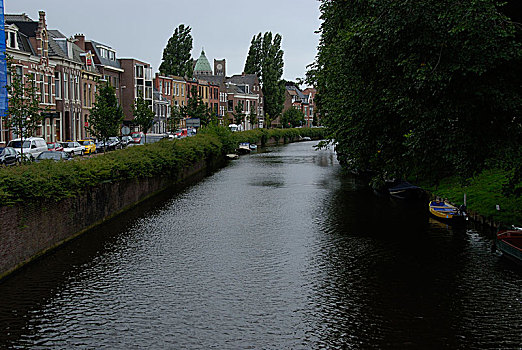 房子,哈勒姆,运河,荷兰