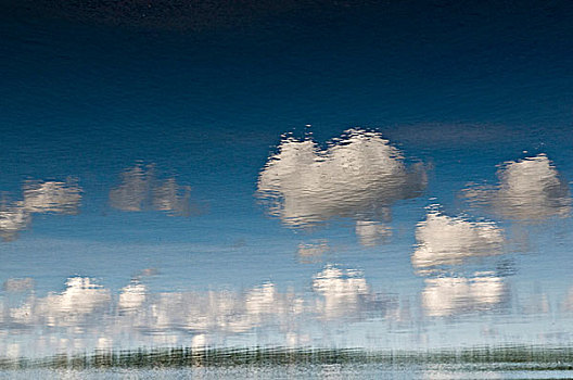 云,反射,湖,靠近,哥德堡,瑞典,斯堪的纳维亚,欧洲