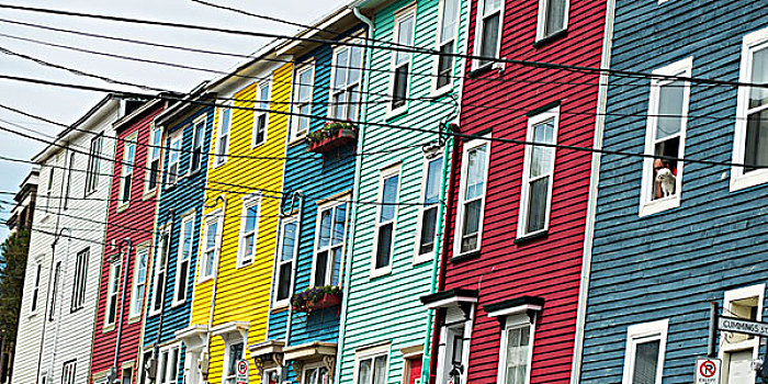 彩色,房子,排列,纽芬兰,加拿大