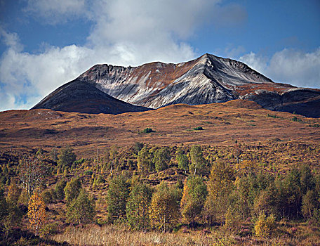 树林,区域,齿状,山,高地,苏格兰