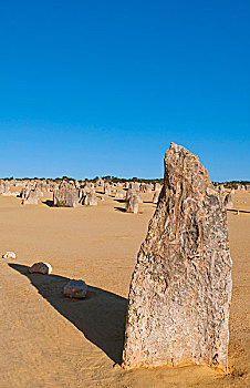 尖峰石阵,著名,岩石构造,南邦国家公园,西澳大利亚州