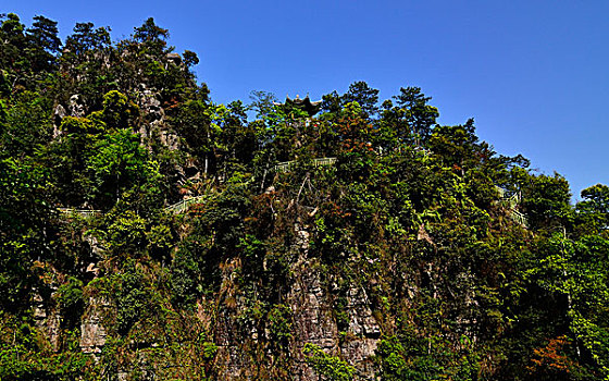 莲花山