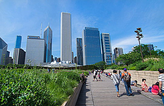 芝加哥,伊利诺斯,千禧公园,花园,天际线,背景,摩天大楼,市区,中西部,城市,旅游
