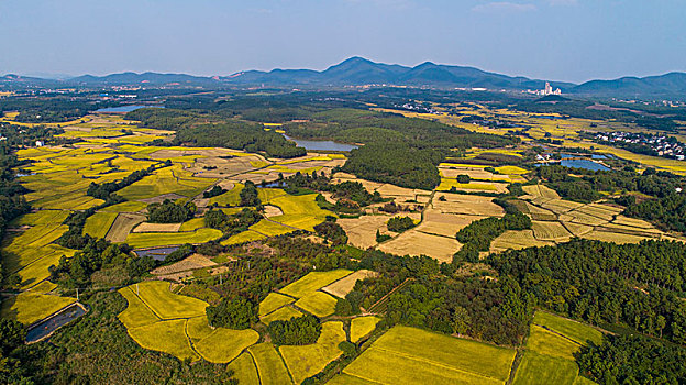 田园秋色