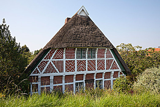蒲屋,半木结构房屋,陆地,下萨克森,德国,欧洲