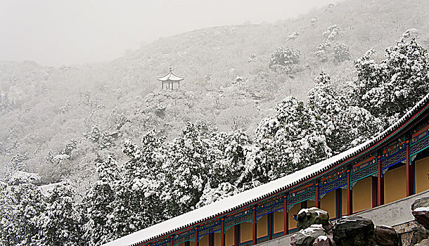 香山,雪景