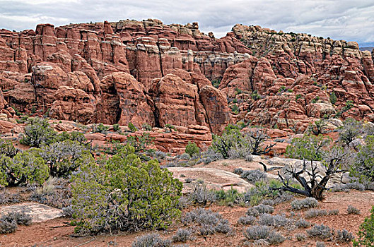 岩石构造,红色,砂岩,拱门国家公园,犹他,美国