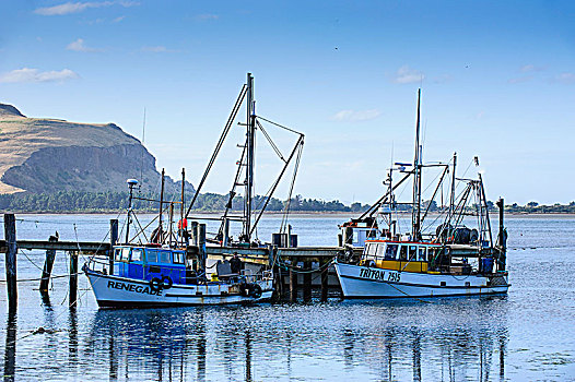 渔船,奥塔哥,半岛,南岛,新西兰