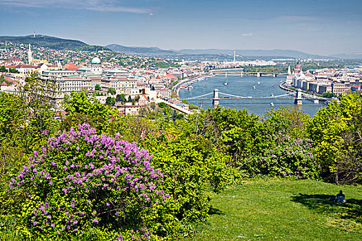 绿色,布达佩斯,左边,多瑙河,匈牙利,欧洲