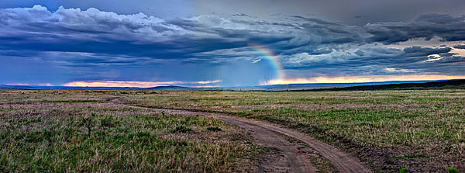 雷暴,上方,马赛马拉,马赛马拉国家保护区,肯尼亚,东非,非洲