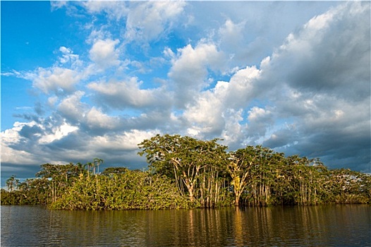 亚马逊地区,雨林,泻湖,大,国家公园,厄瓜多尔