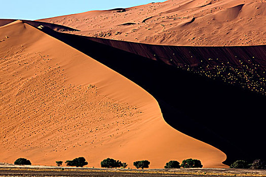 沙丘,公园,索苏维来地区,纳米比沙漠,纳米比亚
