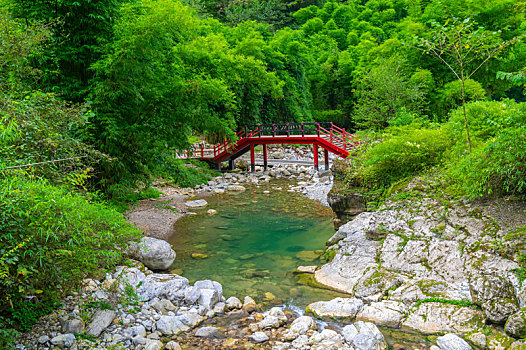 湖北宜昌三峡竹海夏日风光