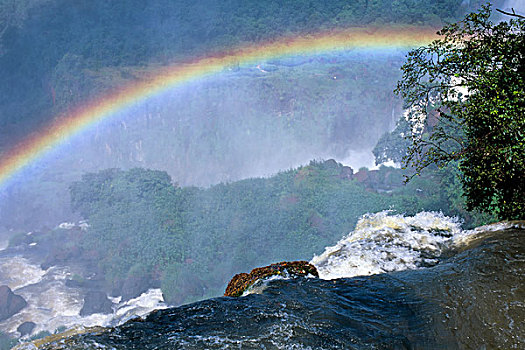 阿根廷,彩虹,高处,伊瓜苏瀑布