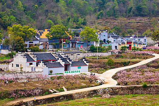 道路,村庄