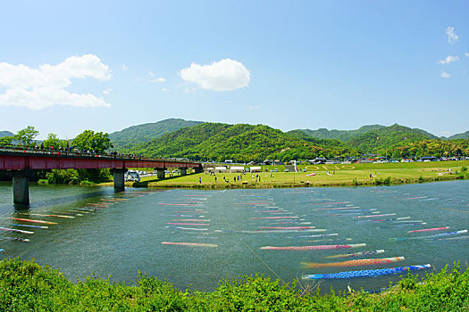 鲤帜,鲤鱼,彩带,河