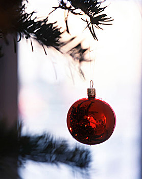 红色,圣诞饰物,树上