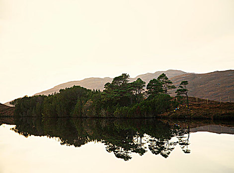 平静,湖,树,苏格兰,英国