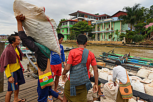 男人,卸载,船,茵莱湖,掸邦,缅甸