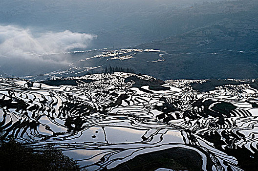 云南元阳梯田