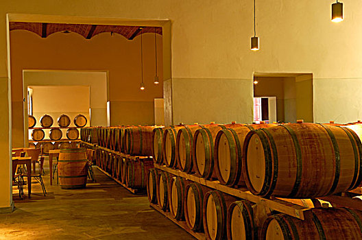 葡萄酒桶,地窖,城堡,葡萄园,锡耶纳省,托斯卡纳,意大利,欧洲