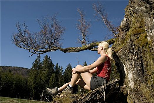 女人,休息,树桩,国家公园,上奥地利州,奥地利,欧洲