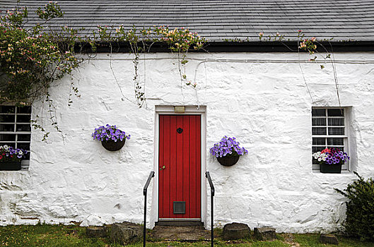 苏格兰,茂尔岛,传统,刷白,屋舍,乡村