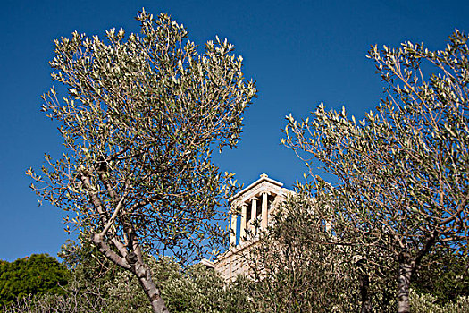 希腊,雅典,卫城,橄榄树,正面,古迹,大幅,尺寸