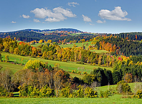 秋日风光,巴伐利亚森林,下巴伐利亚,巴伐利亚,德国,欧洲